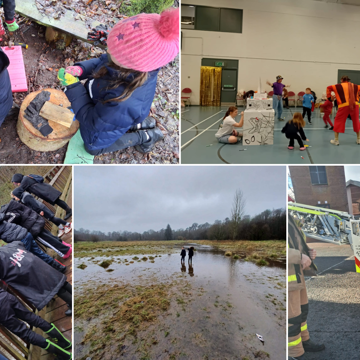 Collage Maker Project